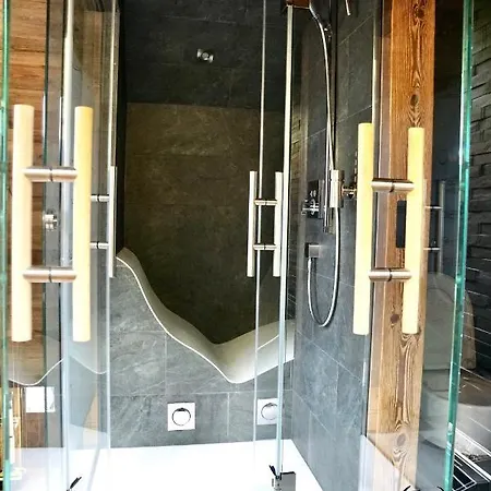 Apartment-chalet Panorama Apartment Todtmoos