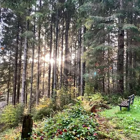 Apartamento Apartment-chalet Panorama Todtmoos