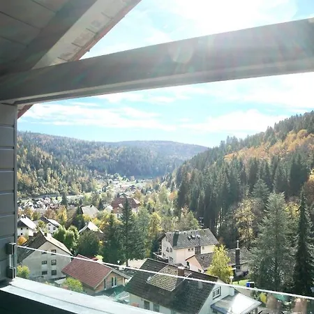Daire Apartment-chalet Panorama Todtmoos