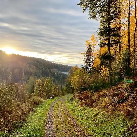 Apartment-chalet Panorama