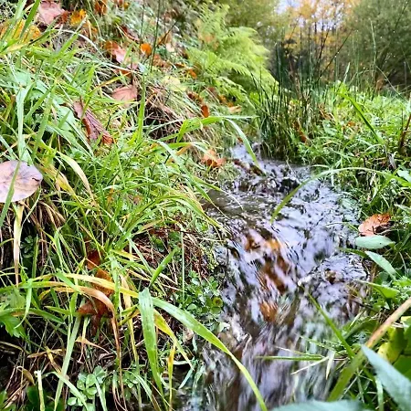 Apartment Apartment-chalet Panorama
