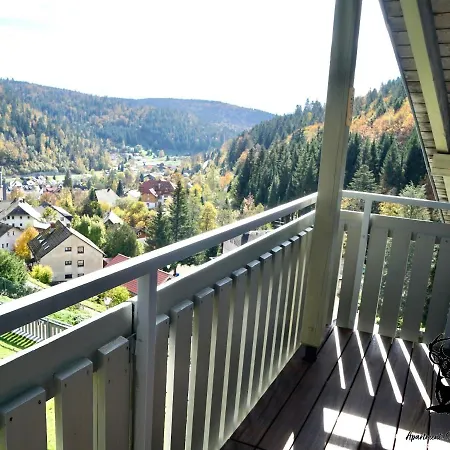 Apartment-chalet Panorama Todtmoos