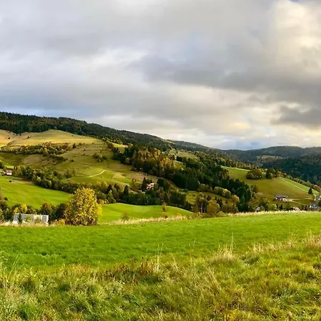 Apartment-chalet Panorama Todtmoos